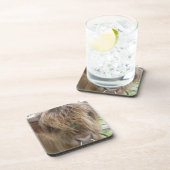 ハイランド・ブル・コースター コースター (右側)