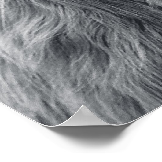 ハイラ威厳のあるンド牛の白黒 ポスター (角)