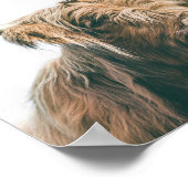 ハイラ威厳のあるンド牛ポートレート ポスター (角)