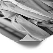 ハイレセラシライオンラスタソロモンジャラスタファリ ポスター (角)