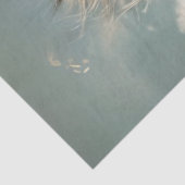 ハイワイヤお洒落上で子猫のバランスを分離 薄葉紙 (詳細)