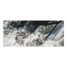 ハイ秋パーク，ジョージア