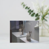 ハイ走パルリンクス ポストカード (スタンド正面)