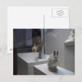 ハイ走パルリンクス ポストカード (正面/裏面)