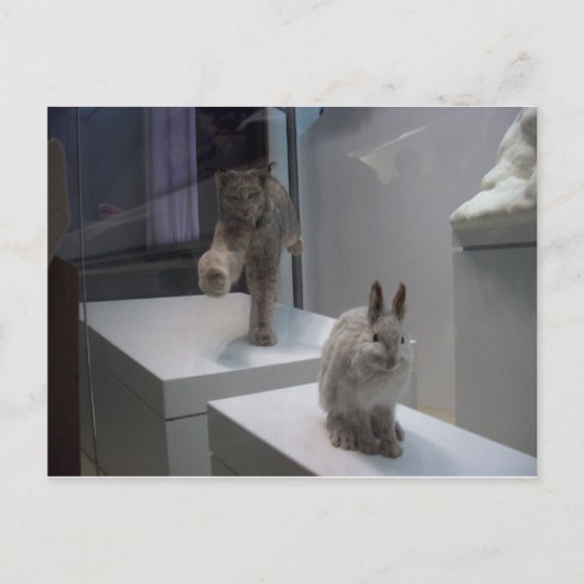 ハイ走パルリンクス ポストカード (正面)