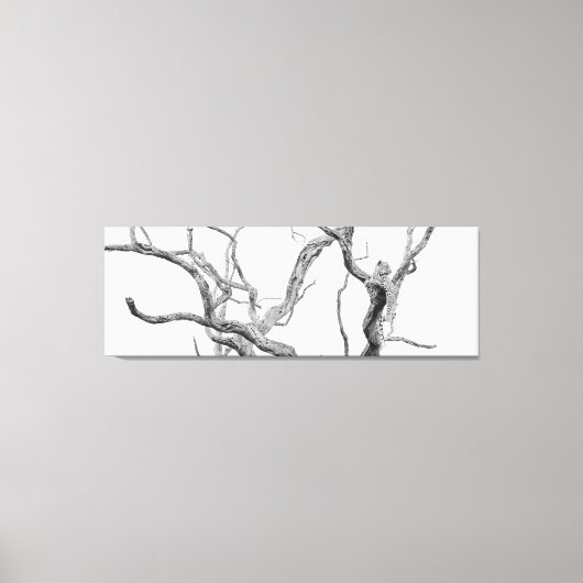 ハイ鍵ヒョウ：インカニエニ女性 キャンバスプリント (正面)