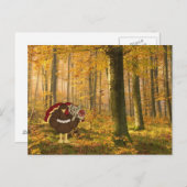 ハイ食べム・ノート・ターキー ポストカード (正面/裏面)