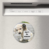 ハイ5 Meモルガン·ワンピー マグネット (インサイチュ (食洗機))