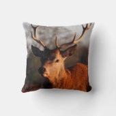 ハイ・ディア クッション (裏面)