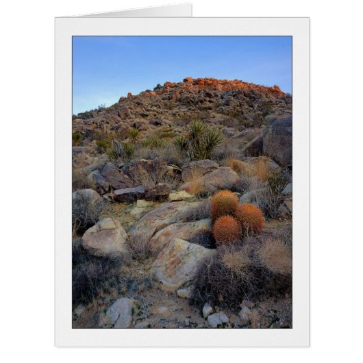 "ハイ・デザート・ガーデン" (正面)