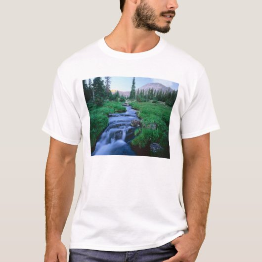 ハイ・ユインタス原野 ユタ州 スティルウォーター・フォーク Tシャツ (正面)