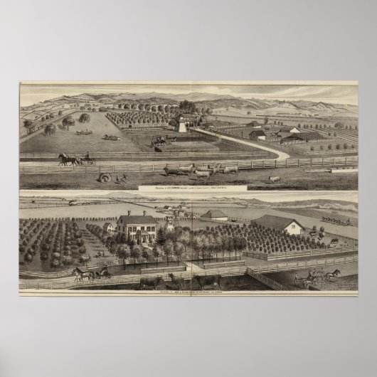 ハウキンス、メイズレジデンス ポスター (正面)