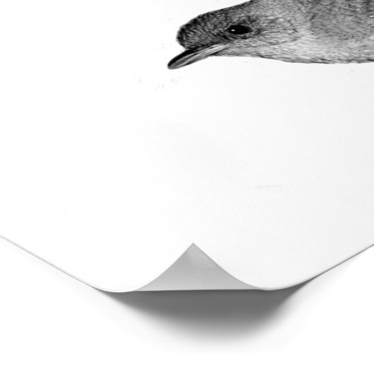 ハウスウォレン ポスター (角)