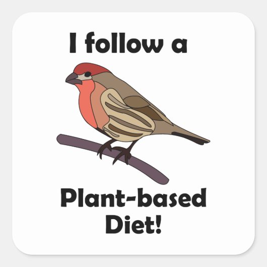 ハウスクイリントウカゲイ(House Finch)ビーガン(植物性食)面白い鳥 スクエアシール (正面)