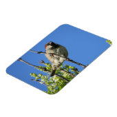 ハウススパロウ春リラックマグネット マグネット (左側)