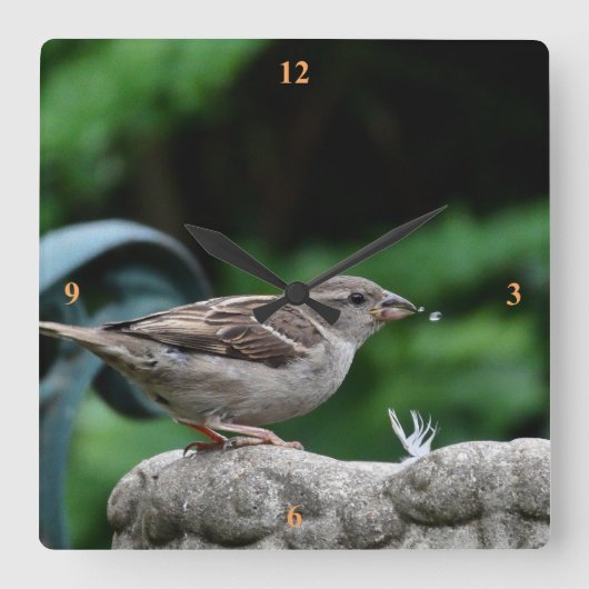 ハウススパローが一杯飲む。 スクエア壁時計 (正面)