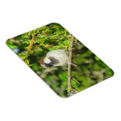 ハウススパローオンブッシュマグネット マグネット (右側)