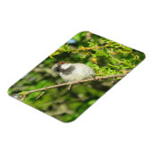 ハウススパローオンブッシュマグネット マグネット (左側)