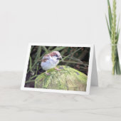 ハウススパローオンログ カード (正面)