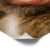 ハウススパローネストリング写真の拡大 フォトプリント            (角)