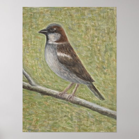 ハウススパロー2008 ポスター (正面)