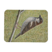 ハウススパロー2008 マグネット (横)