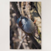 ハウススパロー ジグソーパズル (縦)