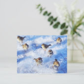 ハウススパーローズの群れ「通り飼い慣らし」オン ポストカード (スタンド正面)