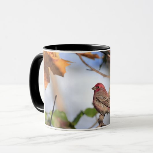 ハウスフィンチの写真で2トーンのマグカップ マグカップ (正面左)