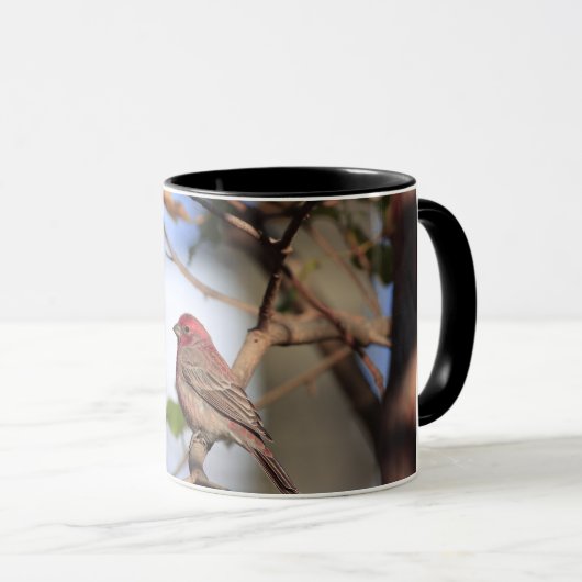 ハウスフィンチの写真で2トーンのマグカップ マグカップ (正面右)