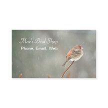 ハウスフィンチオンアブランチ