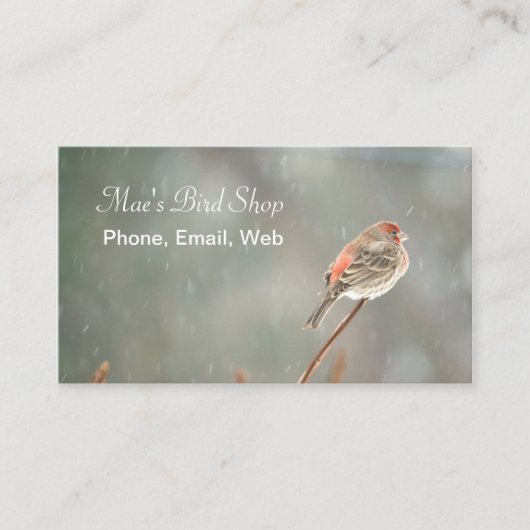 ハウスフィンチオンアブランチ 名刺 (正面)