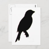 ハウスフィンチシルエットはがき ポストカード (正面/裏面)