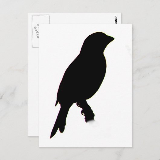 ハウスフィンチシルエットはがき ポストカード (正面/裏面)