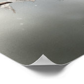 ハウスフィンチバードアートプリントポスター ポスター (角)