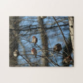 ハウスフィンチフォトグラフィックスバード ジグソーパズル (横)