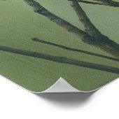 ハウスフィンチ ポスター (角)