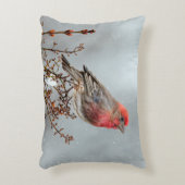 ハウスフィンチin雪 – オリジナル写真 アクセントクッション (正面(垂直))
