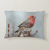 ハウスフィンチin雪 – オリジナル写真 アクセントクッション (裏面)