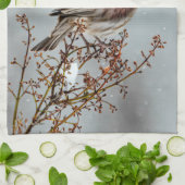 ハウスフィンチin雪 – オリジナル写真 キッチンタオル (折り畳み)