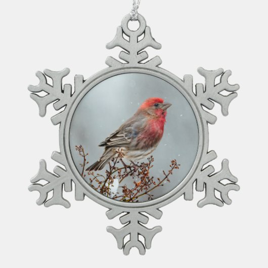 ハウスフィンチin雪 – オリジナル写真 スノーフレークピューターオーナメント (正面)