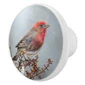 ハウスフィンチin雪 – オリジナル写真 セラミックノブ (右)