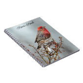 ハウスフィンチin雪 – オリジナル写真 ノートブック (右側)