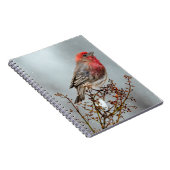 ハウスフィンチin雪 – オリジナル写真 ノートブック (右側)