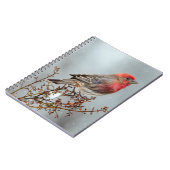 ハウスフィンチin雪 – オリジナル写真 ノートブック (左側)