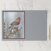 ハウスフィンチin雪 – オリジナル写真 ペーパーパッド (インサイチュ)