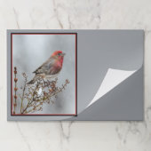 ハウスフィンチin雪 – オリジナル写真 ペーパーパッド (折り畳み)
