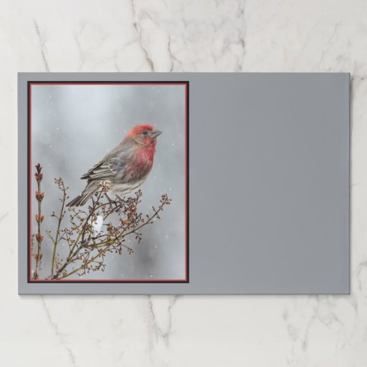 ハウスフィンチin雪 – オリジナル写真 ペーパーパッド (正面)