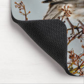 ハウスフィンチin雪 – オリジナル写真 マウスパッド (コーナー)