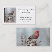 ハウスフィンチin雪 – オリジナル写真 名刺 (正面/裏面)